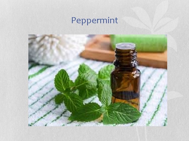 Peppermint 