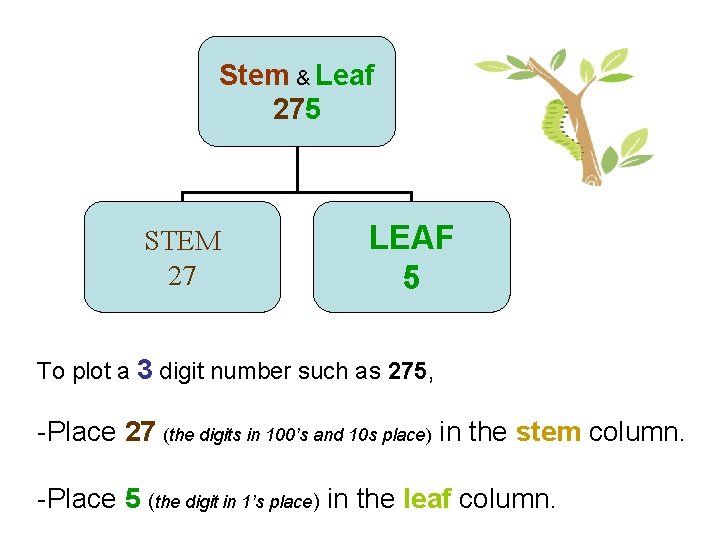 Stem & Leaf 275 STEM 27 LEAF 5 To plot a 3 digit number