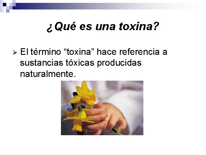 ¿Qué es una toxina? Ø El término “toxina” hace referencia a sustancias tóxicas producidas