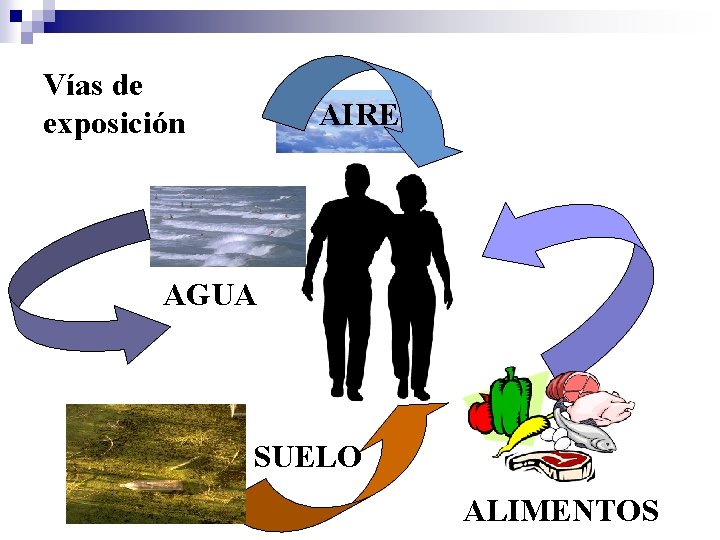 Vías de exposición AIRE AGUA SUELO ALIMENTOS 