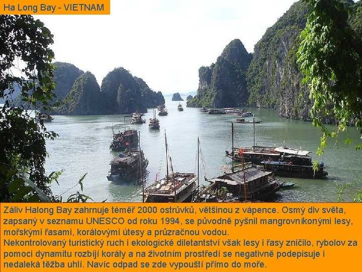 Ha Long Bay - VIETNAM Záliv Halong Bay zahrnuje téměř 2000 ostrůvků, většinou z