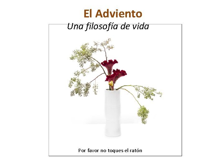 El Adviento Una filosofía de vida Por favor no toques el ratón 
