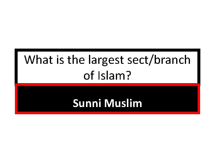 What is the largest sect/branch of Islam? Sunni Muslim 