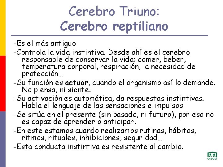 Cerebro Triuno: Cerebro reptiliano -Es el más antiguo -Controla la vida instintiva. Desde ahí