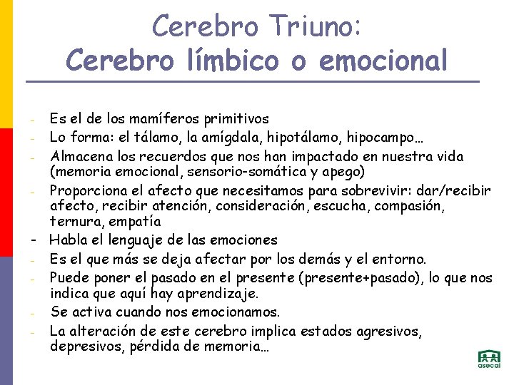 Cerebro Triuno: Cerebro límbico o emocional Es el de los mamíferos primitivos - Lo