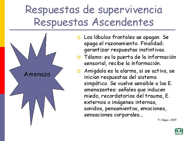 Respuestas de supervivencia Respuestas Ascendentes p p Amenaza p Los lóbulos frontales se apagan.