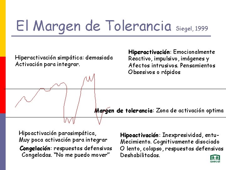 El Margen de Tolerancia Hiperactivación simpática: demasiada Activación para integrar. Siegel, 1999 Hiperactivación: Emocionalmente