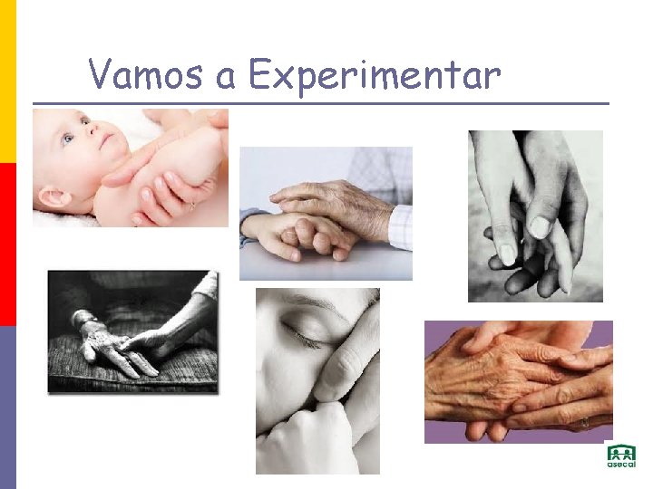 Vamos a Experimentar 