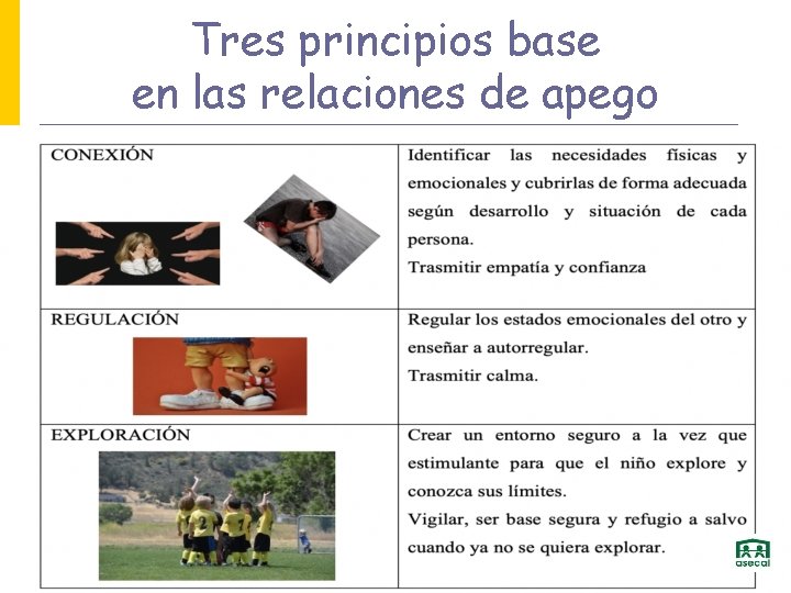 Tres principios base en las relaciones de apego 