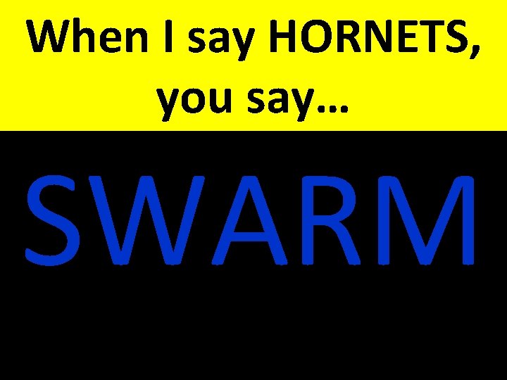 When I say HORNETS, you say… SWARM 