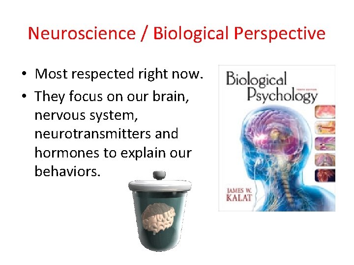 Neuroscience / Biological Perspective • Most respected right now. • They focus on our