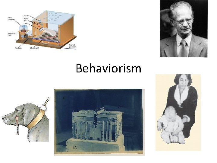 Behaviorism 