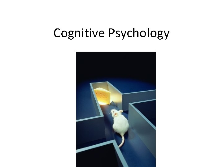 Cognitive Psychology 