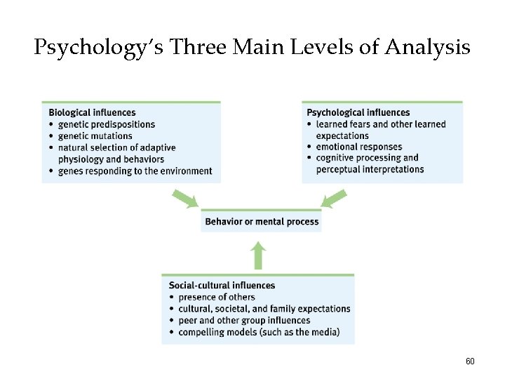 Psychology’s Three Main Levels of Analysis 60 