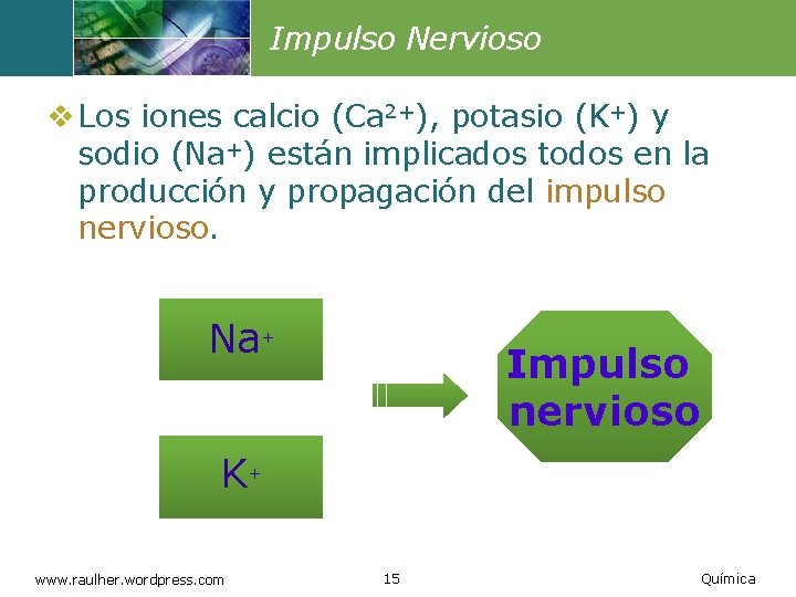 Impulso Nervioso v Los iones calcio (Ca 2+), potasio (K+) y sodio (Na+) están