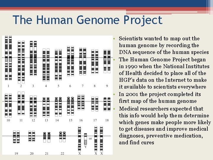 The Human Genome Project • Scientists wanted to map out the human genome by