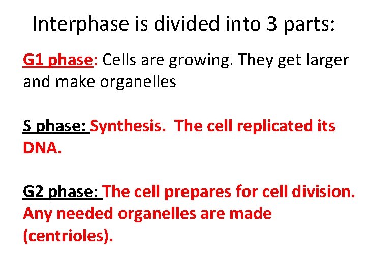 Interphase is divided into 3 parts: G 1 phase: Cells are growing. They get