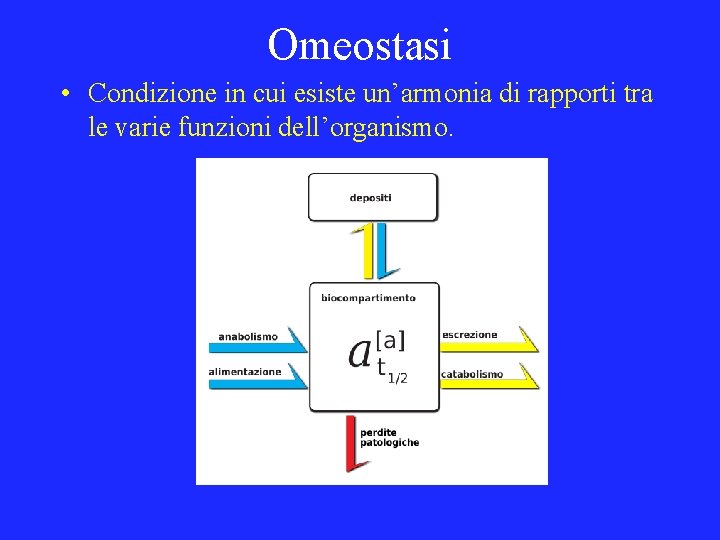 Omeostasi • Condizione in cui esiste un’armonia di rapporti tra le varie funzioni dell’organismo.