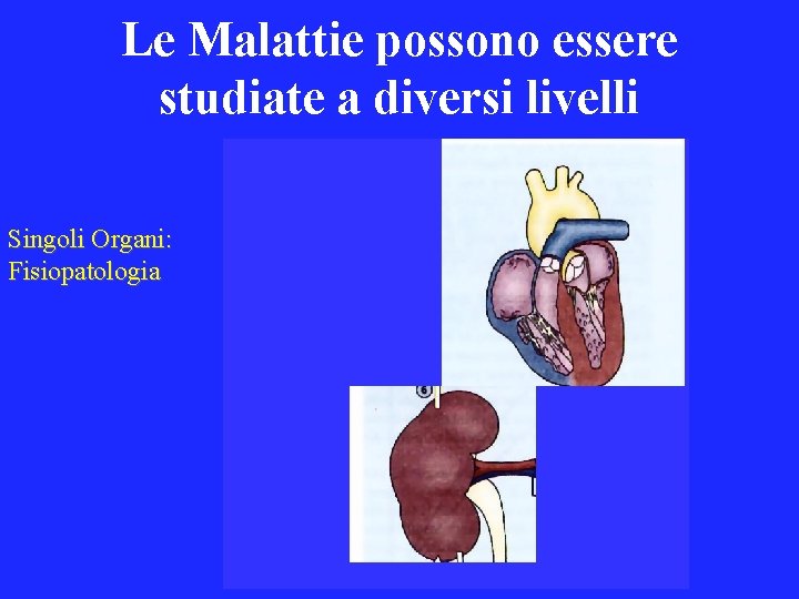 Le Malattie possono essere studiate a diversi livelli Singoli Organi: Fisiopatologia 