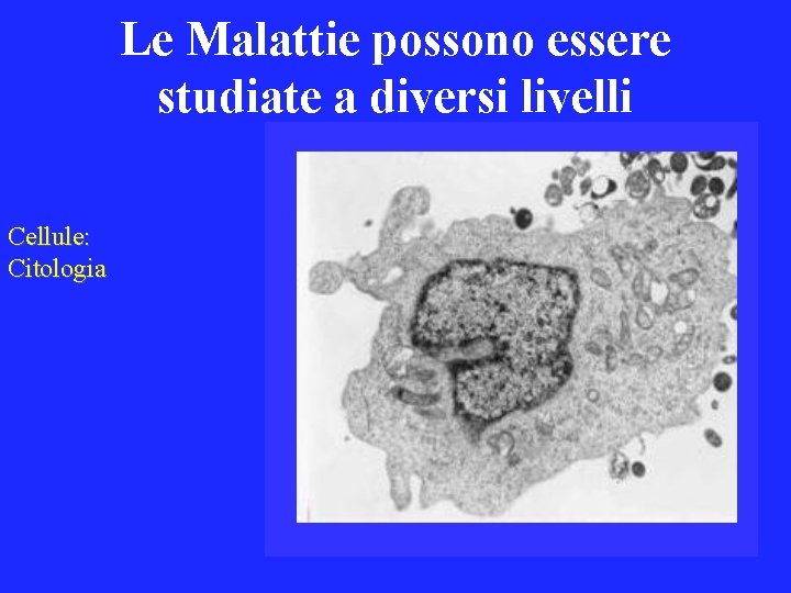 Le Malattie possono essere studiate a diversi livelli Cellule: Citologia 