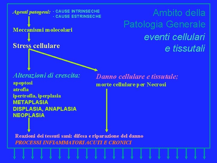 Agenti patogeni: - CAUSE INTRINSECHE - CAUSE ESTRINSECHE Meccanismi molecolari Stress cellulare Alterazioni di