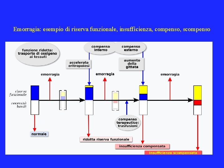 Emorragia: esempio di riserva funzionale, insufficienza, compenso, scompenso 