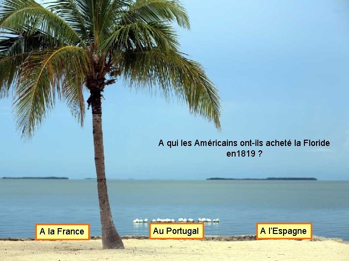 A qui les Américains ont-ils acheté la Floride en 1819 ? A la France