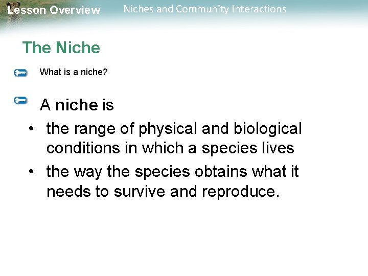 Lesson Overview Niches and Community Interactions The Niche What is a niche? A niche
