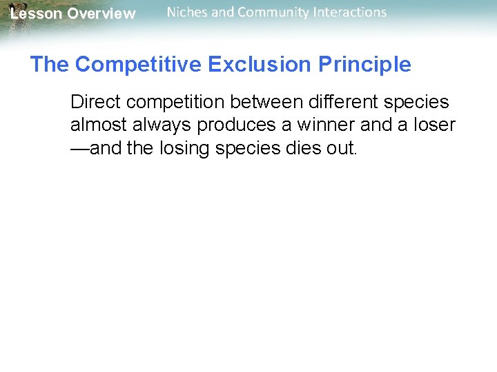 Lesson Overview Niches and Community Interactions The Competitive Exclusion Principle Direct competition between different