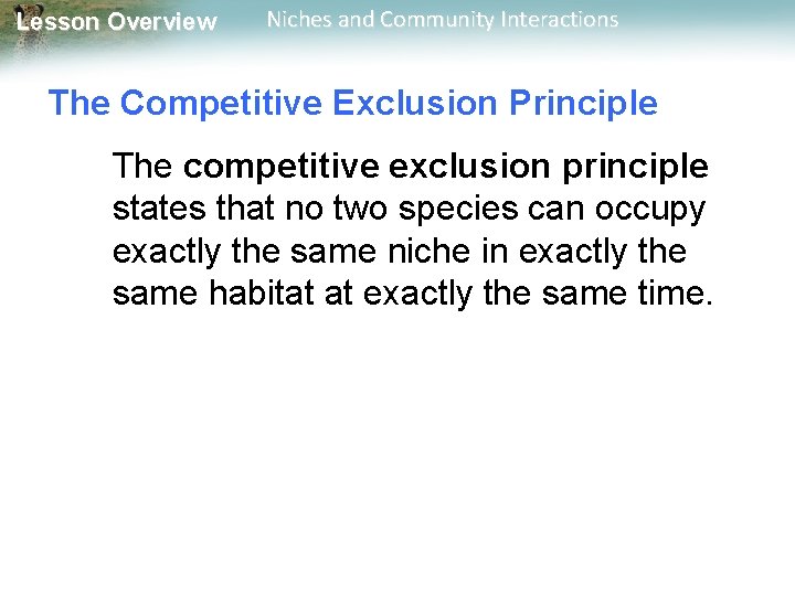 Lesson Overview Niches and Community Interactions The Competitive Exclusion Principle The competitive exclusion principle