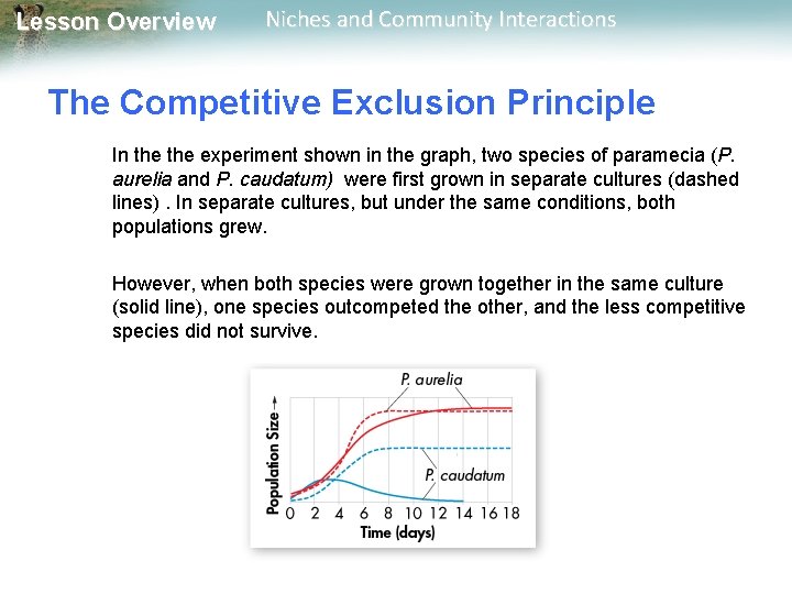 Lesson Overview Niches and Community Interactions The Competitive Exclusion Principle In the experiment shown