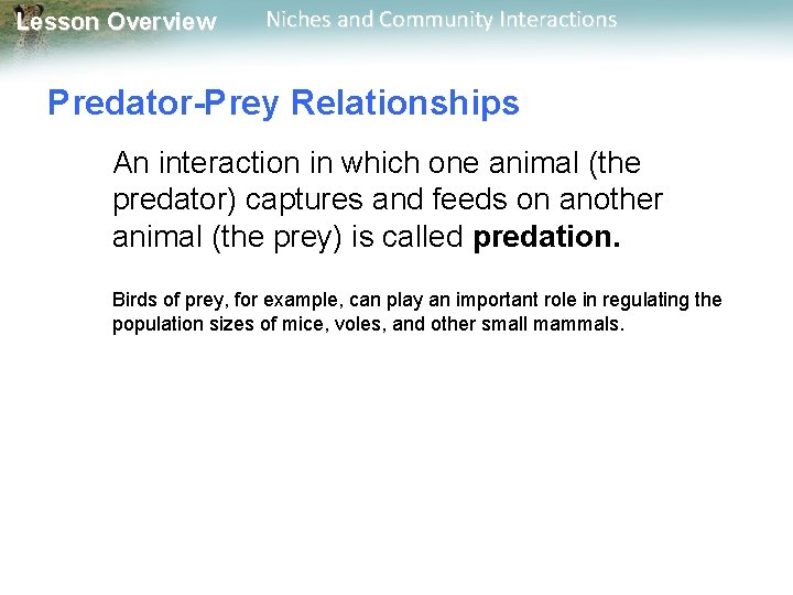 Lesson Overview Niches and Community Interactions Predator-Prey Relationships An interaction in which one animal