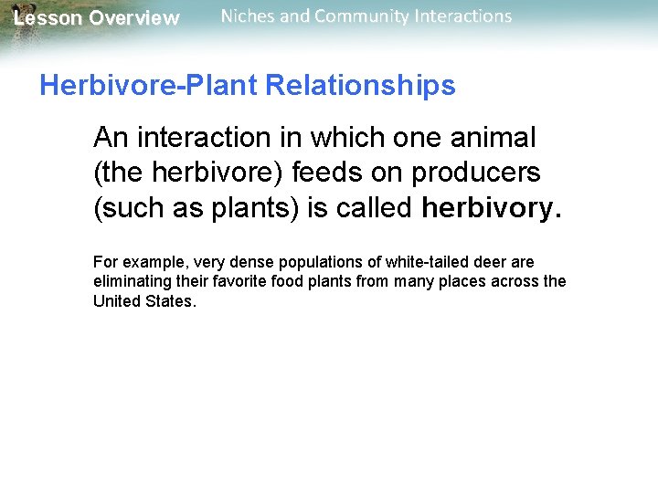 Lesson Overview Niches and Community Interactions Herbivore-Plant Relationships An interaction in which one animal