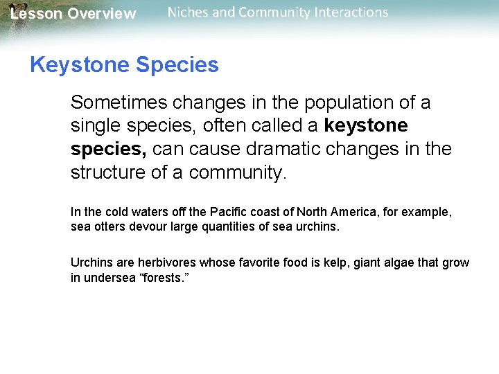 Lesson Overview Niches and Community Interactions Keystone Species Sometimes changes in the population of