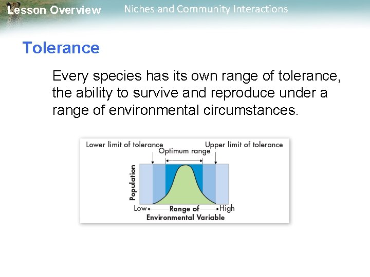 Lesson Overview Niches and Community Interactions Tolerance Every species has its own range of