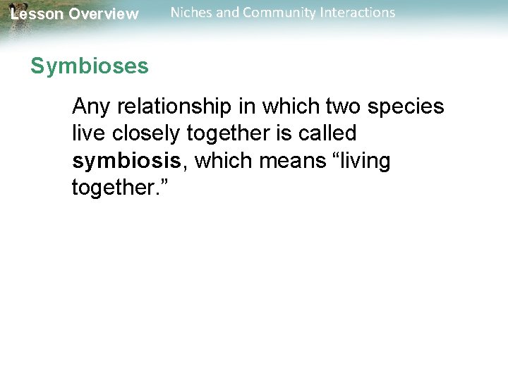 Lesson Overview Niches and Community Interactions Symbioses Any relationship in which two species live
