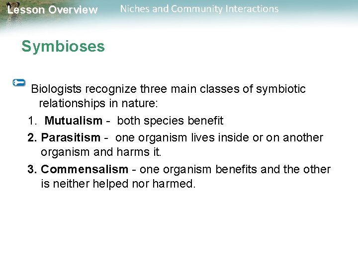 Lesson Overview Niches and Community Interactions Symbioses Biologists recognize three main classes of symbiotic