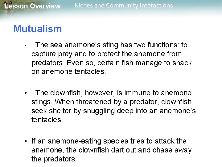 Lesson Overview Niches and Community Interactions Mutualism • The sea anemone’s sting has two