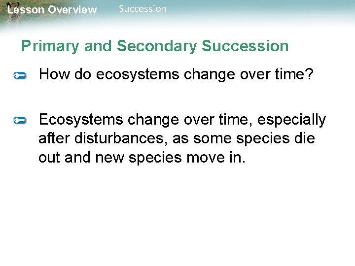 Lesson Overview Succession Primary and Secondary Succession How do ecosystems change over time? Ecosystems