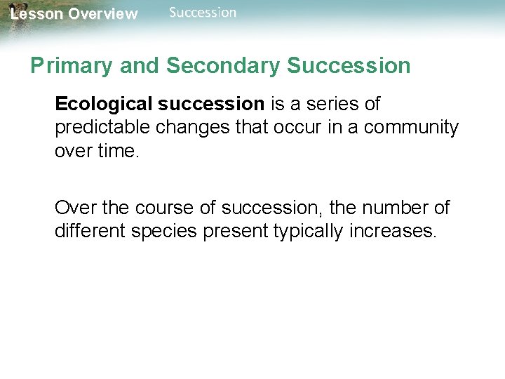 Lesson Overview Succession Primary and Secondary Succession Ecological succession is a series of predictable