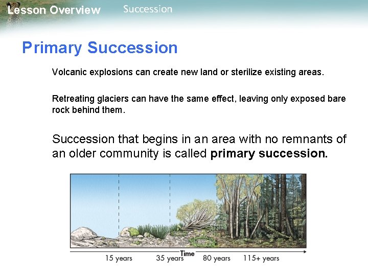 Lesson Overview Succession Primary Succession Volcanic explosions can create new land or sterilize existing