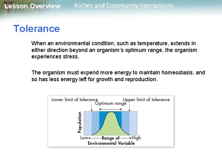 Lesson Overview Niches and Community Interactions Tolerance When an environmental condition, such as temperature,