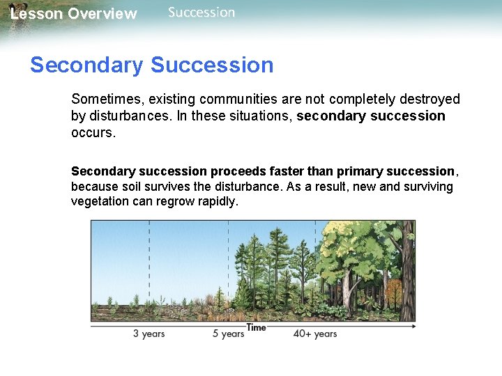 Lesson Overview Succession Secondary Succession Sometimes, existing communities are not completely destroyed by disturbances.