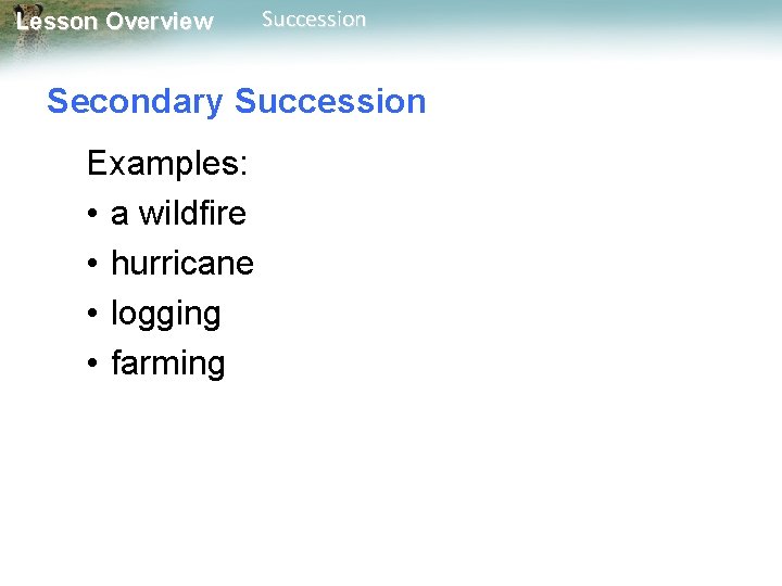 Lesson Overview Succession Secondary Succession Examples: • a wildfire • hurricane • logging •