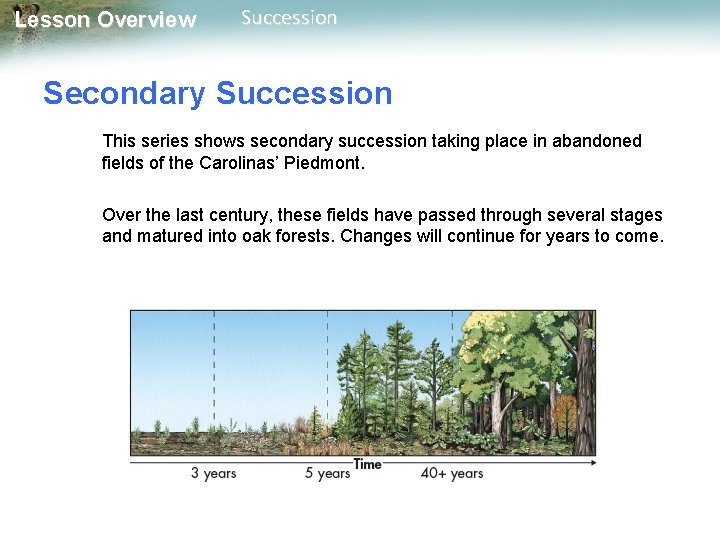 Lesson Overview Succession Secondary Succession This series shows secondary succession taking place in abandoned