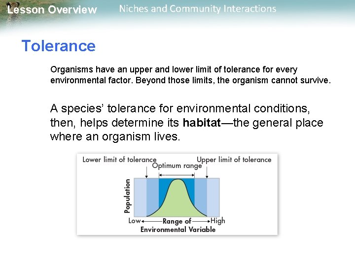 Lesson Overview Niches and Community Interactions Tolerance Organisms have an upper and lower limit