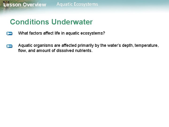 Lesson Overview Aquatic Ecosystems Conditions Underwater What factors affect life in aquatic ecosystems? Aquatic