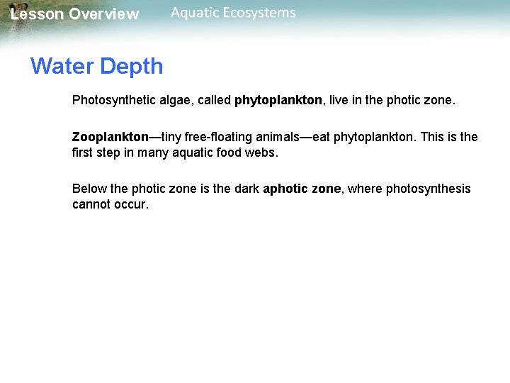 Lesson Overview Aquatic Ecosystems Water Depth Photosynthetic algae, called phytoplankton, live in the photic