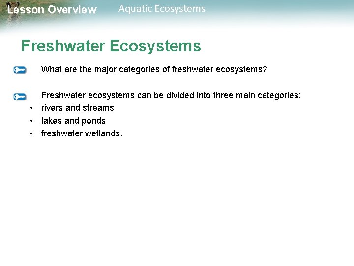 Lesson Overview Aquatic Ecosystems Freshwater Ecosystems What are the major categories of freshwater ecosystems?