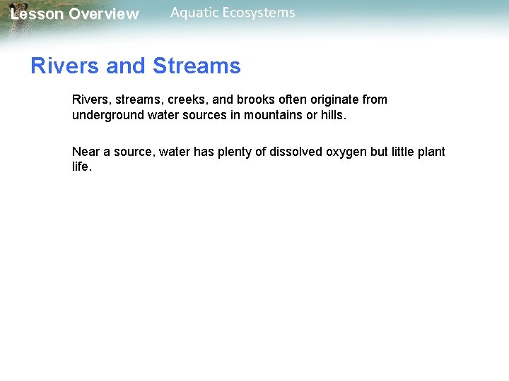 Lesson Overview Aquatic Ecosystems Rivers and Streams Rivers, streams, creeks, and brooks often originate